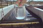 CPAM معالجة مياه الصرف الصحي الكيميائي CAS 9003-05-8 بنقاوة عالية
